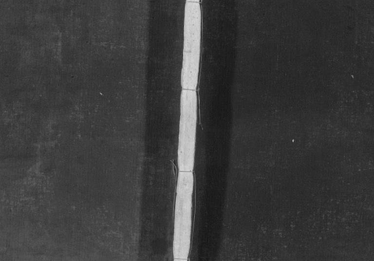 1936年重修剡西沈氏宗谱[6卷]浙江嵊州沈姓电子版族谱下载