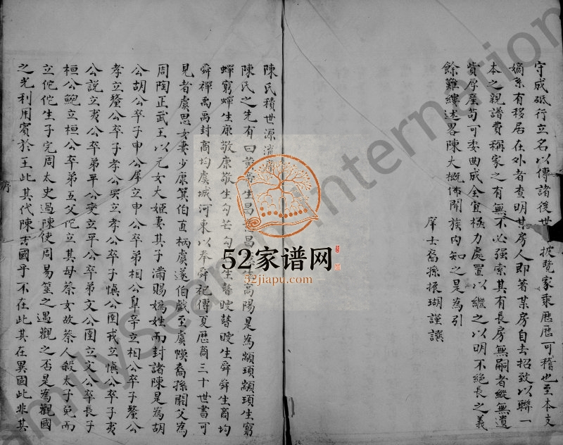 1886年修永嘉柟溪大源包山陈氏宗谱 浙江陈姓电子版家谱下载