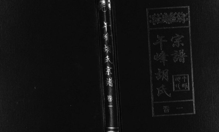 2005年修午峰胡氏宗谱[不分卷]浙江东阳胡姓电子版族谱下载