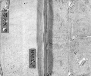 1956年修南岑胡氏宗谱[1卷]浙江东阳胡姓电子版族谱下载