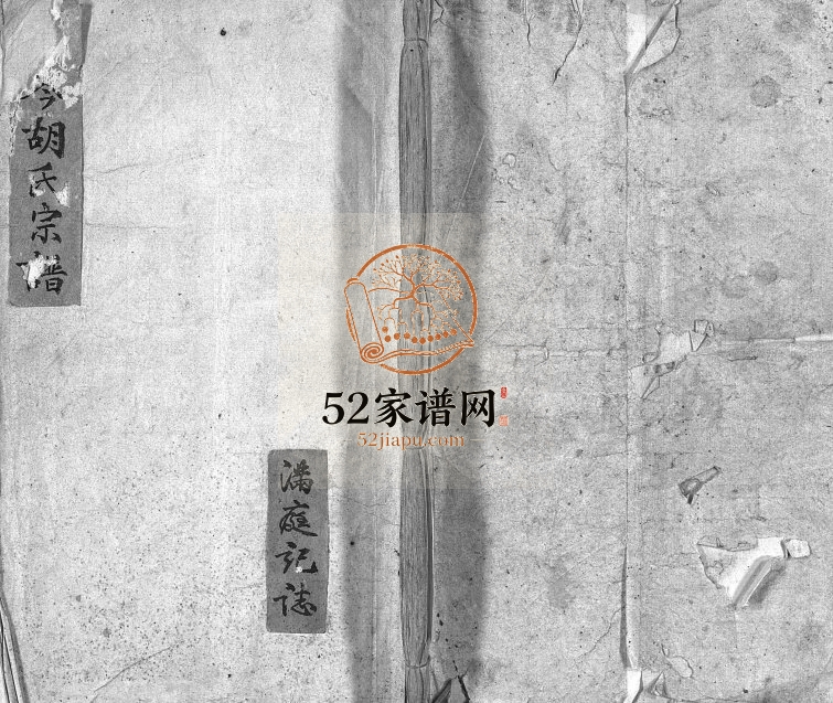 1956年修南岑胡氏宗谱[1卷]浙江东阳胡姓电子版族谱下载