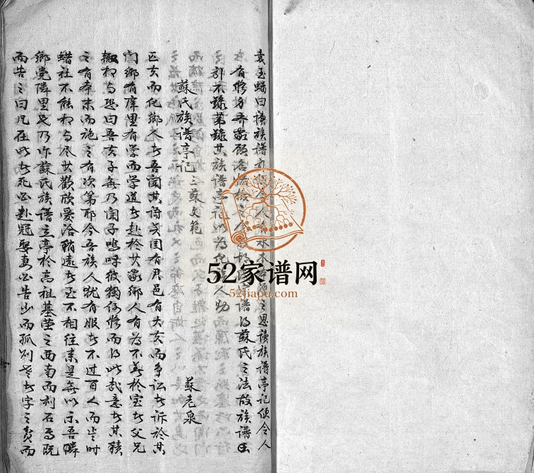 1956年修南岑胡氏宗谱[1卷]浙江东阳胡姓电子版族谱下载