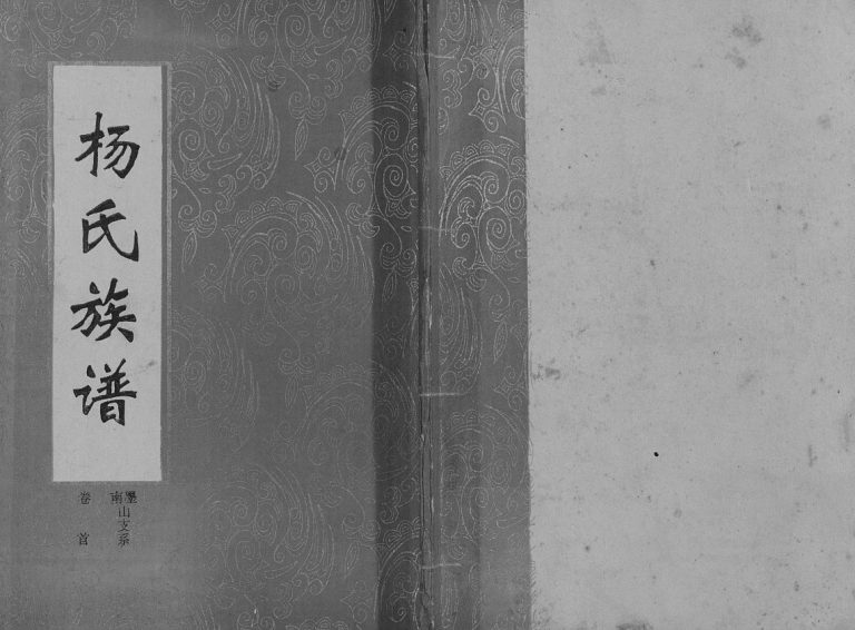 1996年修杨氏族谱.南墨山支系 湖南华容四知堂杨姓PDF电子版家谱下载