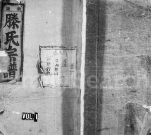 1925年续修南阳滕氏宗谱 浙江永嘉滕姓电子版族谱下载