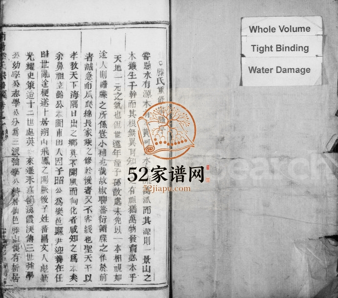 1925年续修南阳滕氏宗谱 浙江永嘉滕姓电子版族谱下载