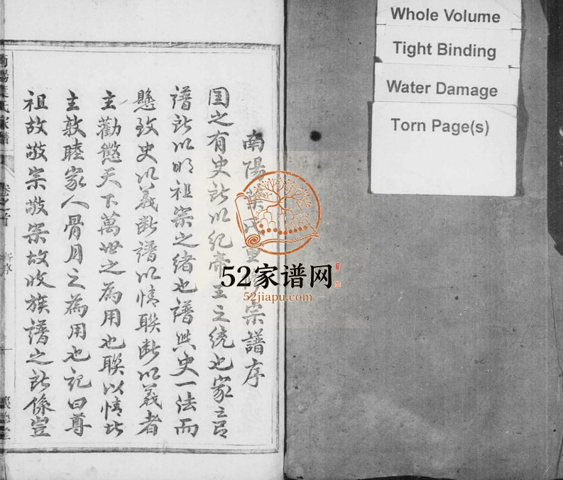 1906年修南阳叶氏宗谱[4卷含卷首]浙江衢州怀德堂叶姓电子版族谱下载