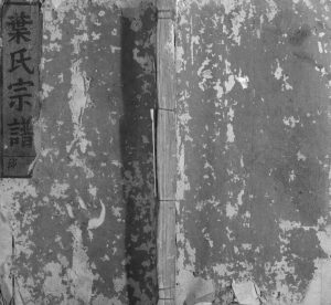 1908年修南阳叶氏宗谱[4卷]浙江缙云叶姓电子版族谱下载