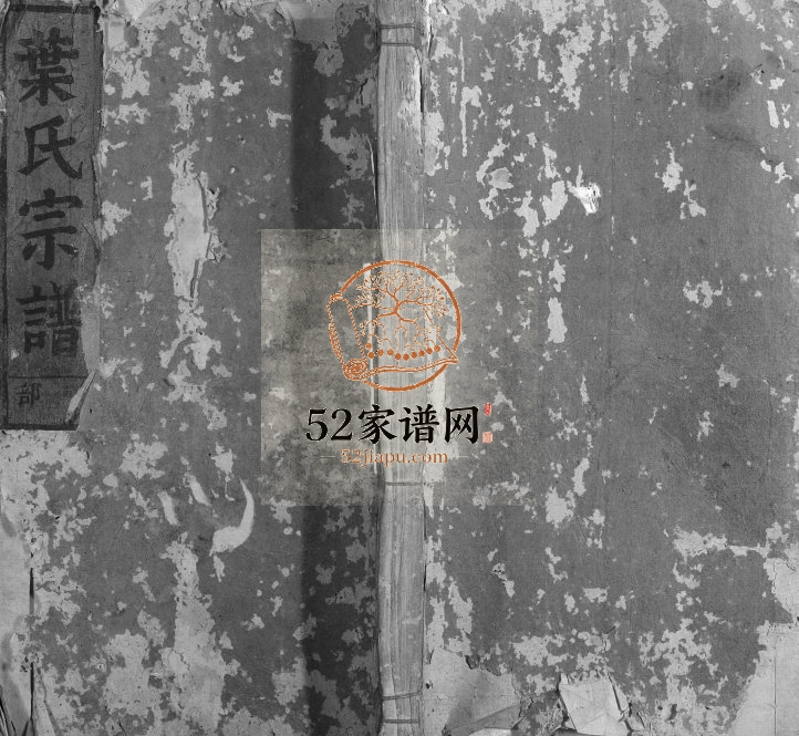 1908年修南阳叶氏宗谱[4卷]浙江缙云叶姓电子版族谱下载