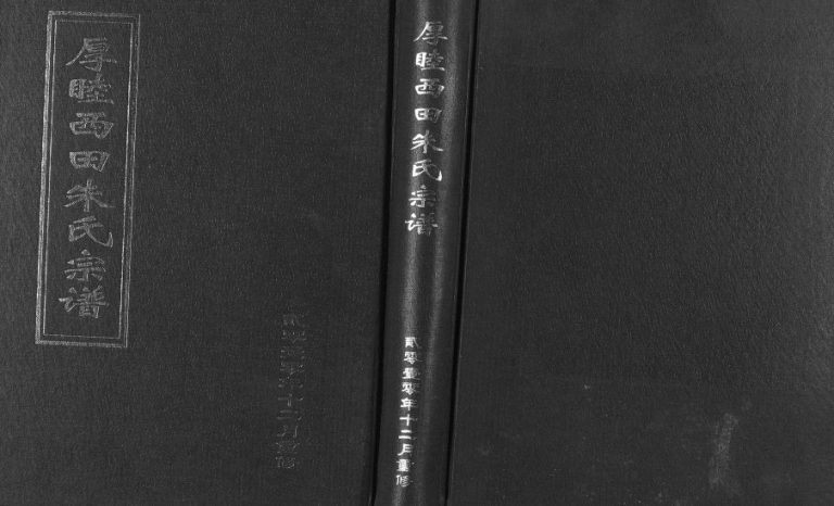 2010年修厚睦西田朱氏宗谱[3卷]浙江武义朱姓电子版族谱下载