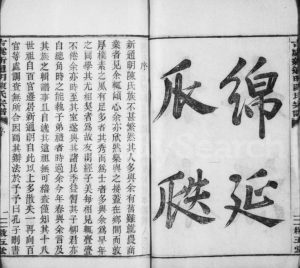 1926年修古虞新通明陈氏宗谱[4卷]浙江上虞征五堂陈姓电子版族谱下载