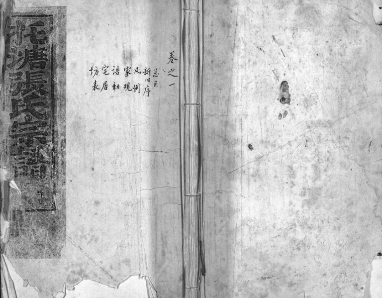 1920年续修吴宁托塘张氏宗谱[残卷]浙江金华 东阳张姓电子版族谱下载