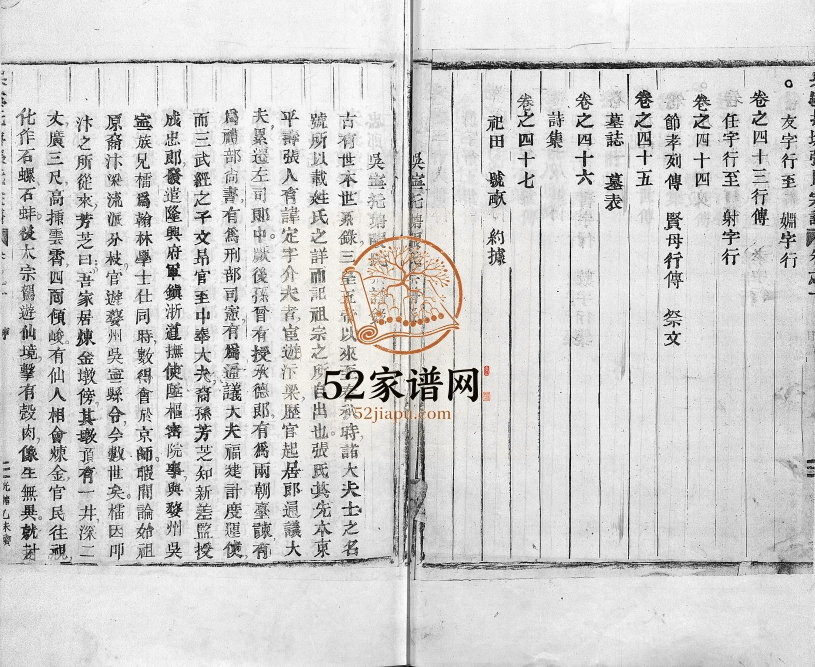 1920年续修吴宁托塘张氏宗谱[残卷]浙江金华 东阳张姓电子版族谱下载