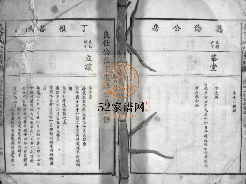 1918年修吴氏宗谱[残卷]江西南丰 宁都 福建建宁 浙江常山吴姓电子版族谱下载