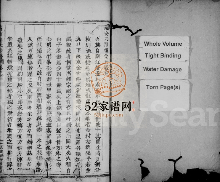1918年九郎溪吕前金氏重修宗谱[12卷]浙江缙云金姓电子版族谱下载