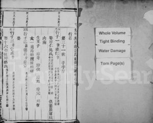 1876年九郎溪吕前金氏重修宗谱[残卷]浙江缙云金姓电子版族谱下载