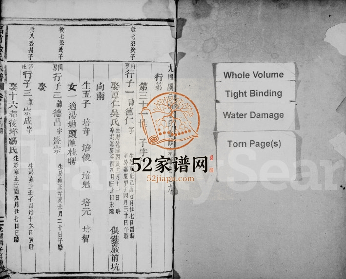 1876年九郎溪吕前金氏重修宗谱[残卷]浙江缙云金姓电子版族谱下载