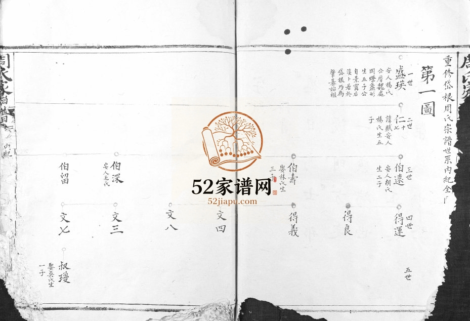 1900年修周氏家谱 浙江景宁周姓电子版族谱下载
