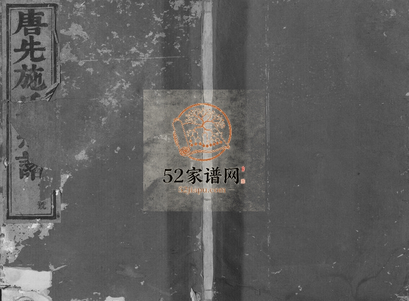 1931年修唐先施氏宗谱 浙江永康施姓电子版族谱下载