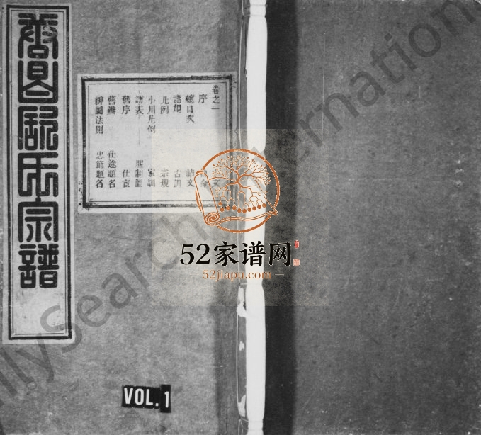 1907年续修唐昌舒氏宗谱[8卷及卷首]浙江临安 昌化文苑堂舒姓电子版族谱下载
