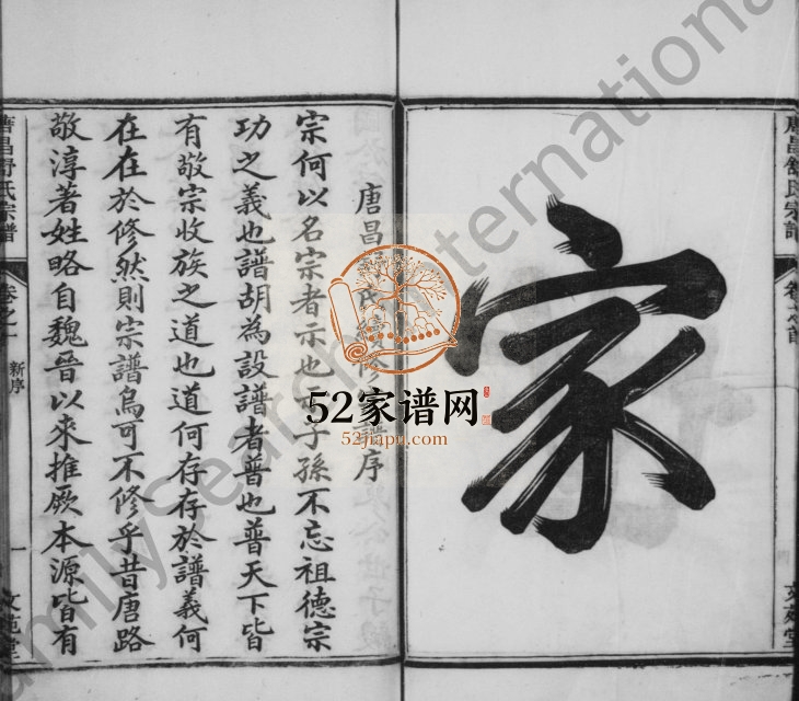 1907年续修唐昌舒氏宗谱[8卷及卷首]浙江临安 昌化文苑堂舒姓电子版族谱下载