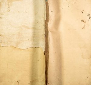 1828年修唐科王氏族谱 浙江淳安 福建建瓯王姓电子版家谱下载