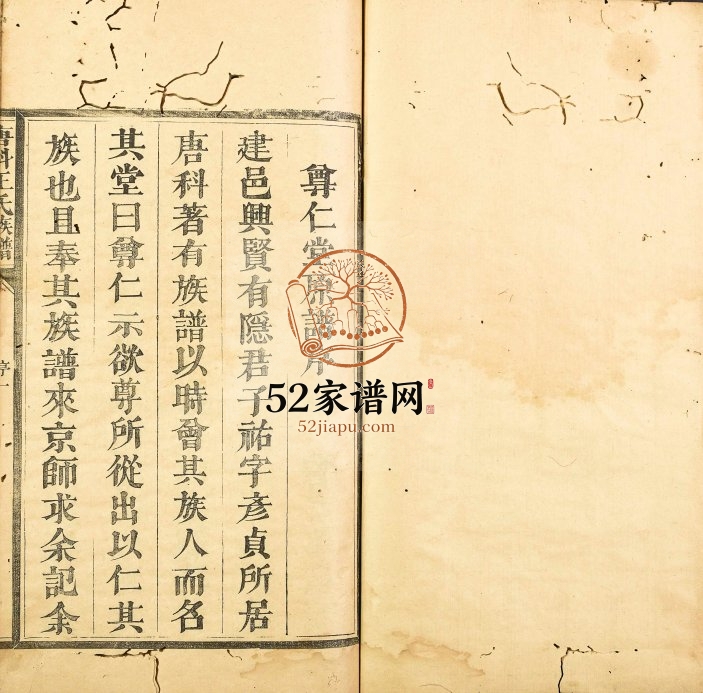 1828年修唐科王氏族谱 浙江淳安 福建建瓯王姓电子版家谱下载