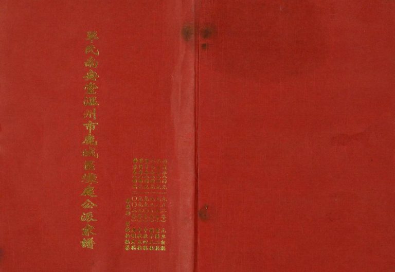 2003年修单氏南安堂温州市鹿城区灿庭公派家谱 浙江单姓电子版族谱下载