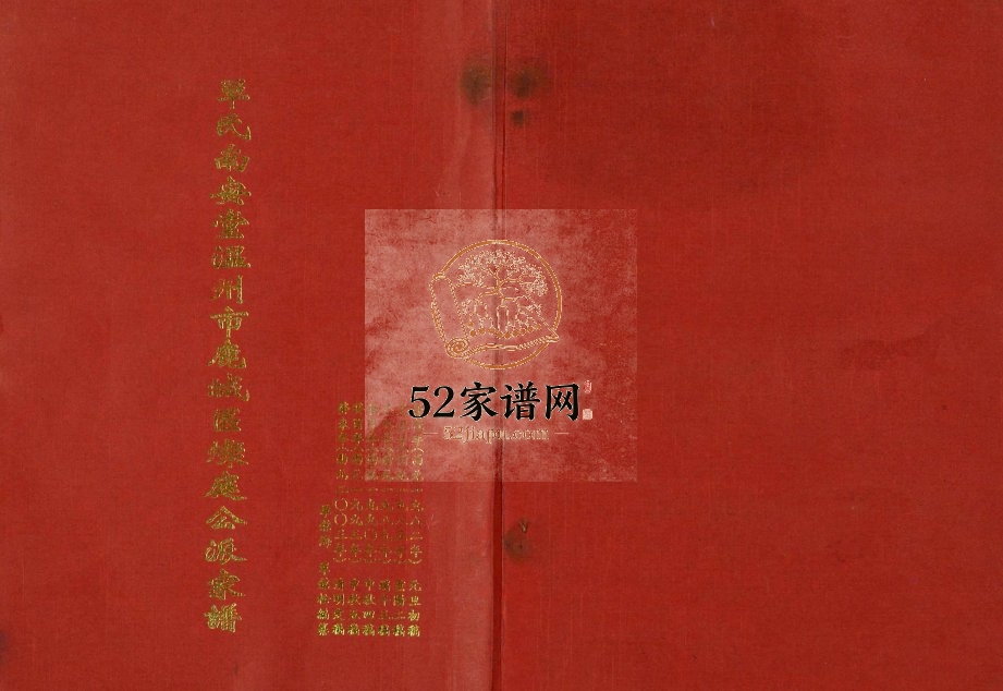2003年修单氏南安堂温州市鹿城区灿庭公派家谱 浙江单姓电子版族谱下载