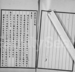1849年修嘉善徐氏家谱 浙江徐姓电子版族谱下载