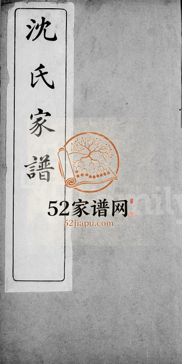 1918年修嘉兴将庄村沈氏家谱 浙江沈姓电子版族谱下载
