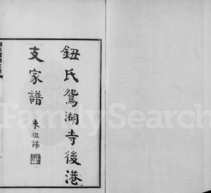 1924年修钮氏鸳湖寺后港支家谱 浙江嘉兴钮姓电子版族谱下载