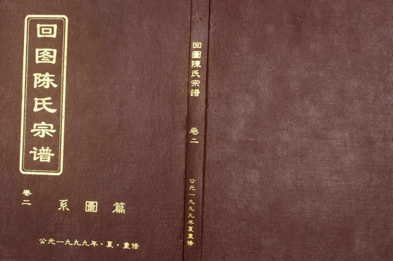 1999年修回图陈氏宗谱 浙江新昌陈姓电子版族谱下载