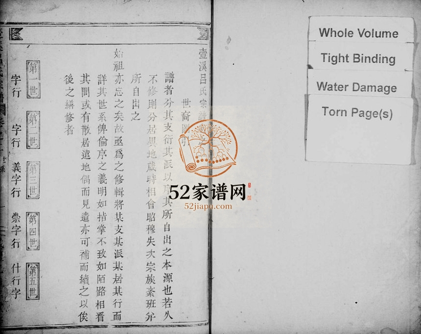 1855年修壶溪吕氏宗谱[残卷]浙江缙云吕姓电子版族谱下载