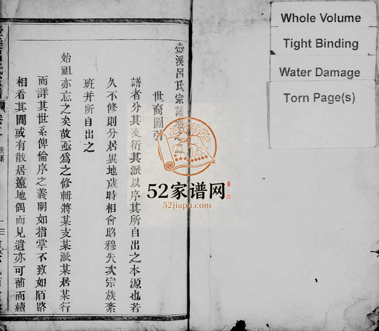 1825年修壶溪吕氏宗谱[残卷]浙江缙云吕姓电子版族谱下载