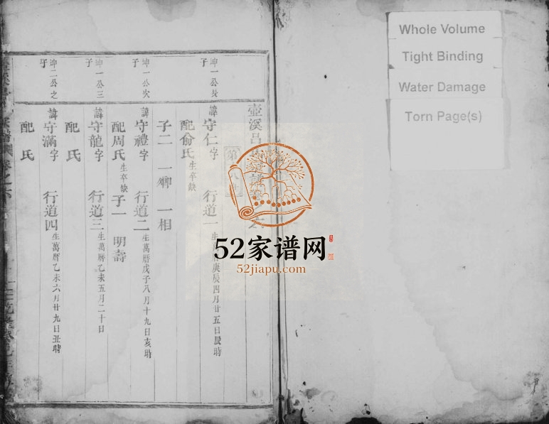 1841年重修壶溪吕氏宗谱[残卷]浙江缙云吕姓电子版族谱下载