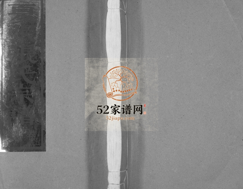 1997年修夏张张氏宗谱 浙江仙居张姓电子版族谱下载