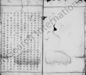 1917年修夏氏宗谱[9卷及卷首]江西九江 浙江金华秘书堂夏姓电子版族谱下载