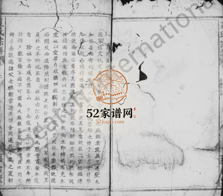1917年修夏氏宗谱[9卷及卷首]江西九江 浙江金华秘书堂夏姓电子版族谱下载