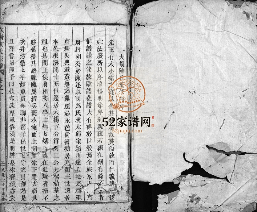 1852年重修大杨陈氏宗谱[残卷]浙江东阳陈姓电子版族谱下载