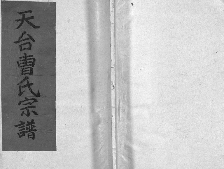 1994年续修天台曹氏宗谱[5卷]浙江曹姓电子版族谱下载
