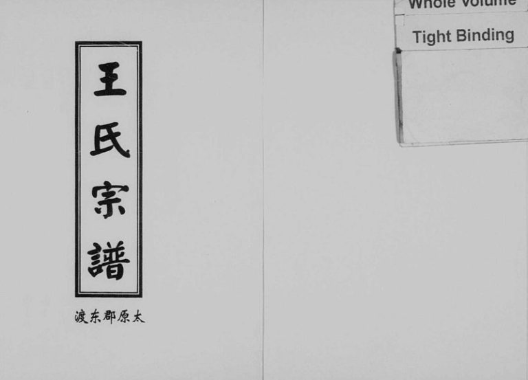 2003年重修太原东渡王氏宗谱 浙江缙云王姓电子版族谱下载