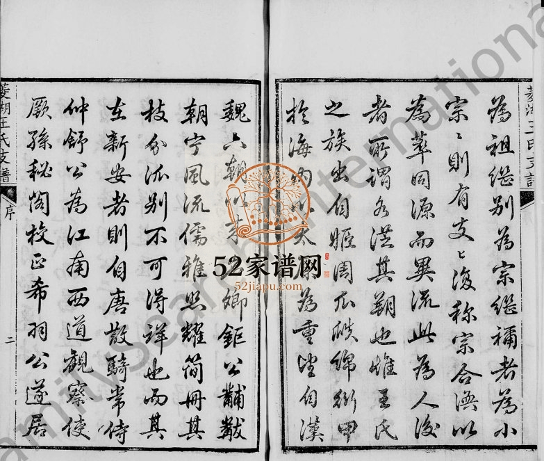 1894年三修太原王氏菱湖支谱 浙江吴兴王姓电子版族谱下载