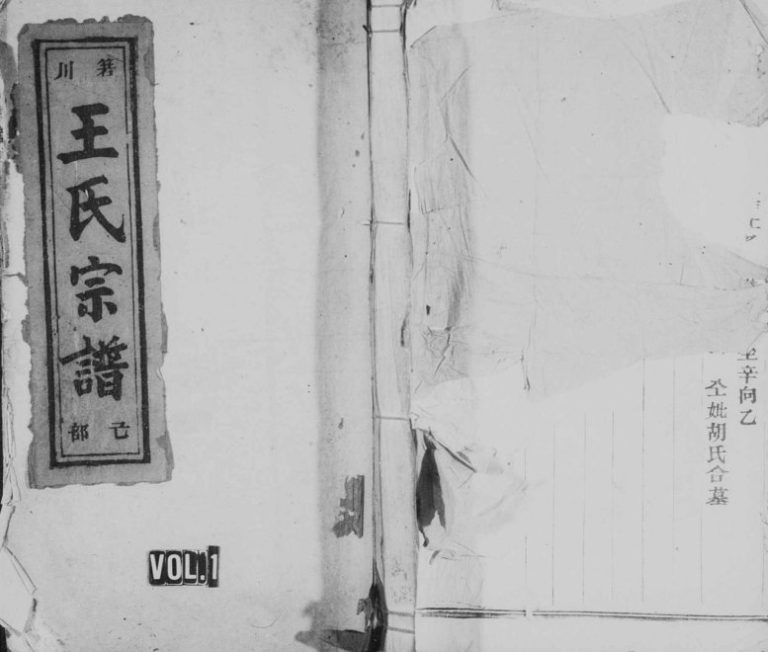 1935年修太原箬川王氏宗谱[9卷]浙江缙云王姓电子版族谱下载