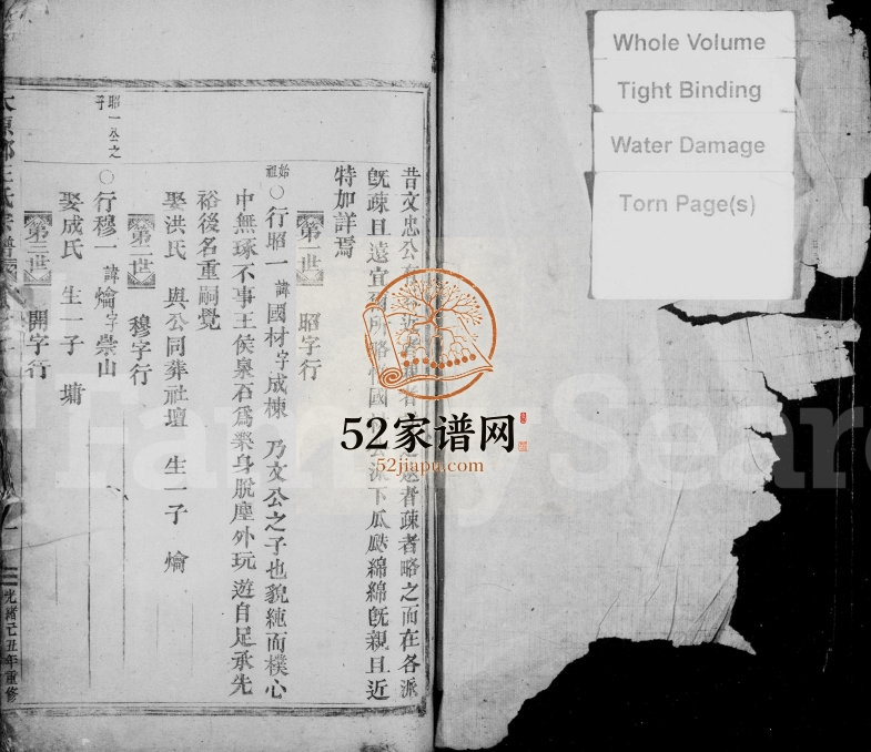 1889年修太原郡王氏宗谱 浙江缙云王姓电子版族谱下载