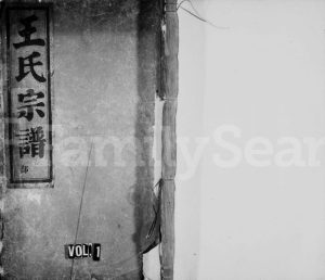 1920年修太原郡王氏宗谱 浙江缙云王姓电子版族谱下载