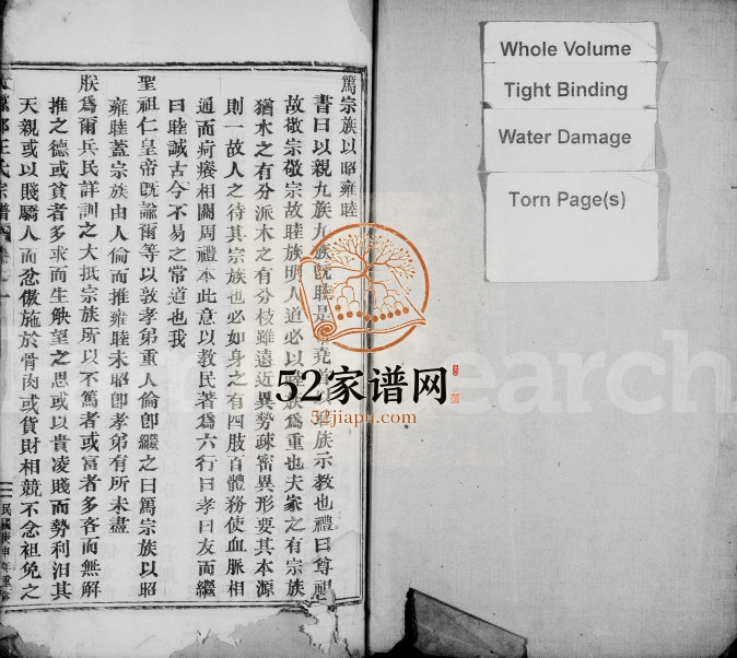 1920年修太原郡王氏宗谱 浙江缙云王姓电子版族谱下载