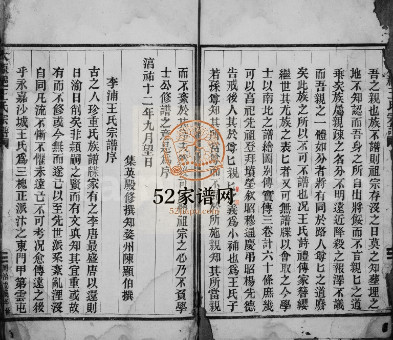1868年修大南平阳坑蛟池王氏宗谱 浙江瑞安王姓电子版族谱下载