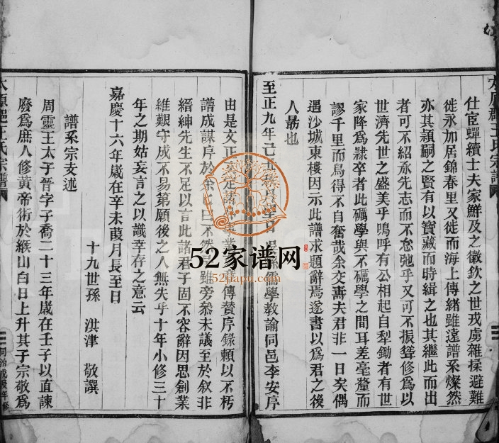 1868年修大南平阳坑蛟池王氏宗谱 浙江瑞安王姓电子版族谱下载