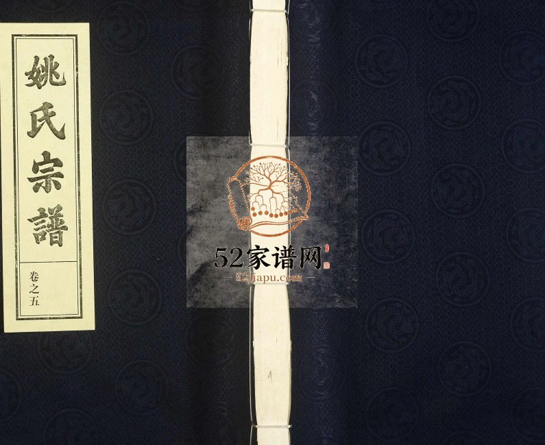 2010年修吴兴郡姚氏宗谱 浙江开化敦睦堂姚姓电子版族谱下载