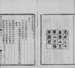 1904年修姚氏百世源流攷[2卷]浙江柯桥姚姓电子版族谱下载
